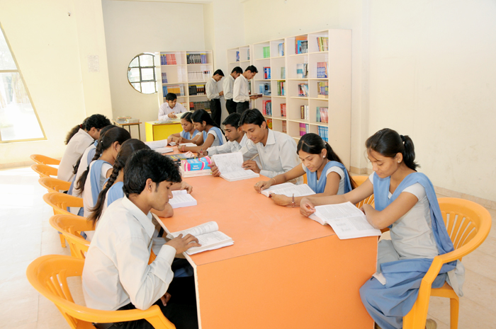 Peacefull Library